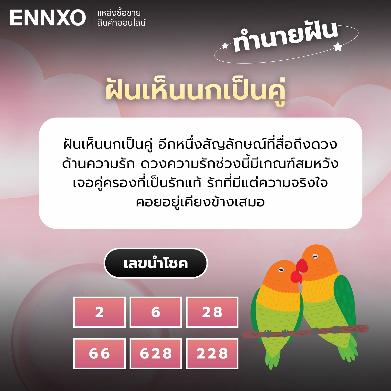 ฝันเห็นนกเป็นคู่ สัญญาณเจอเนื้อคู่