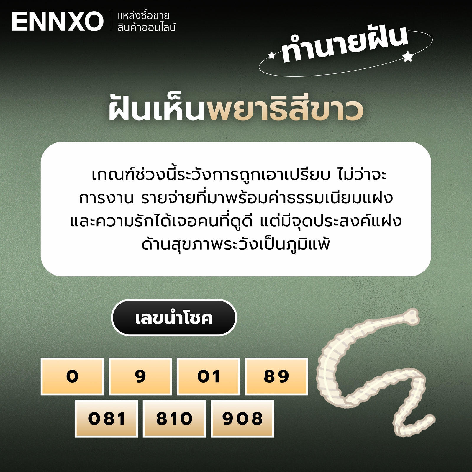 ความหมายฝันเห็นพยาธิสีขาว เลขเด็ด