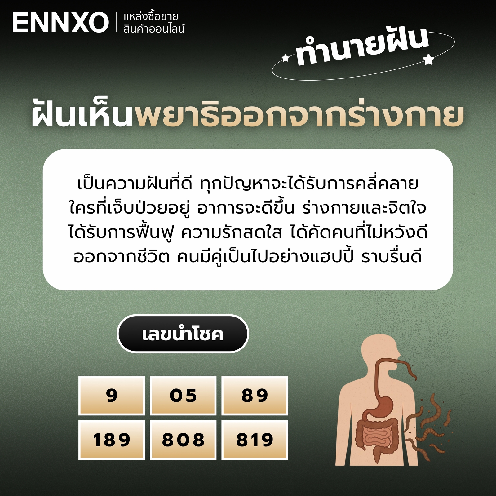 ความหมายฝันเห็นพยาธิออกจากร่างกาย เลขเด็ด