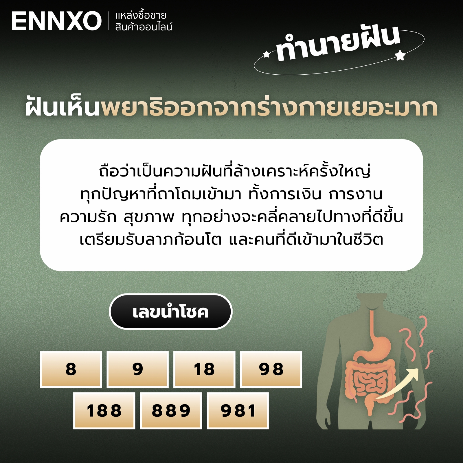 ความหมายฝันเห็นพยาธิออกจากร่างกายเยอะมาก เลขเด็ด