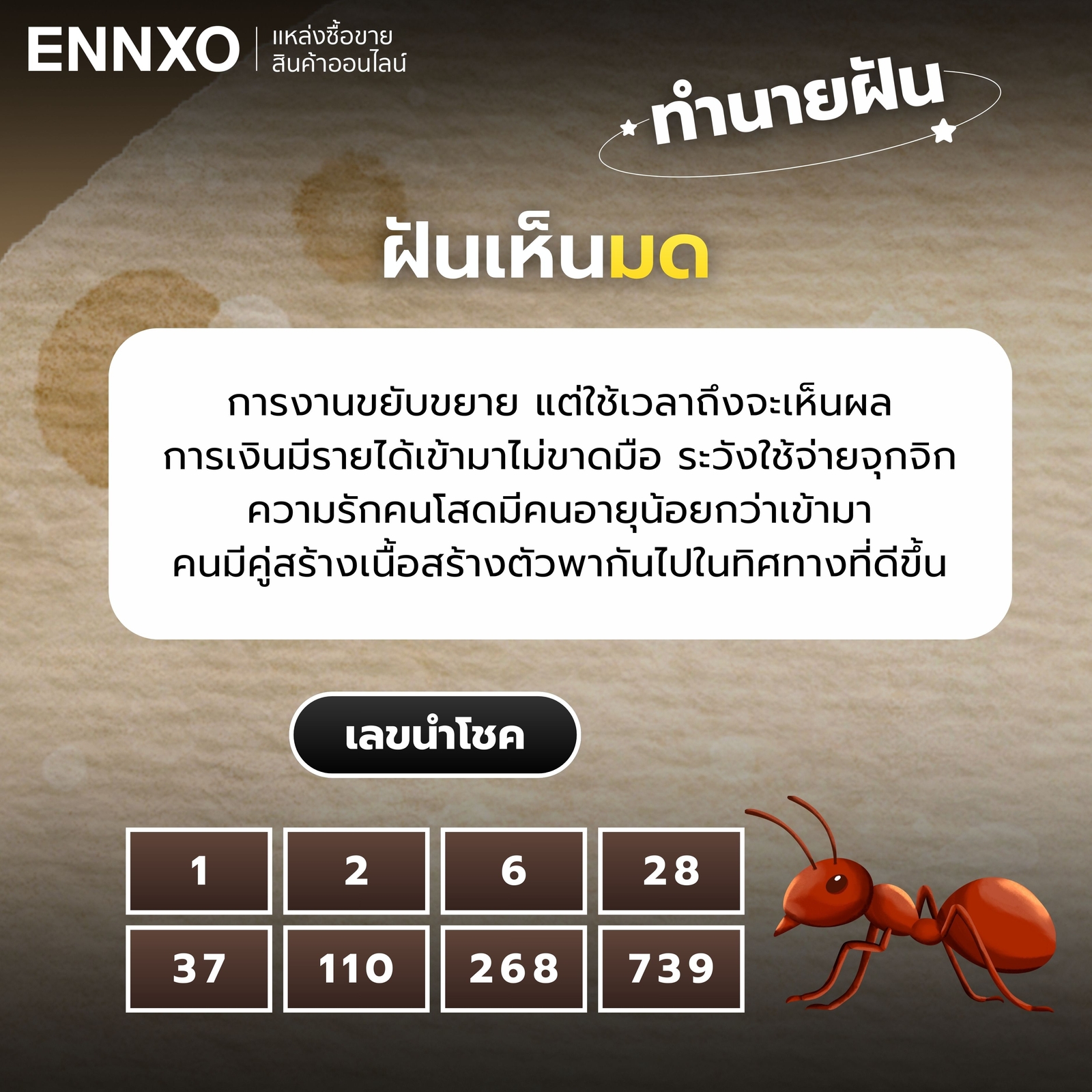 ฝันเห็นมด-เลขเด็ด