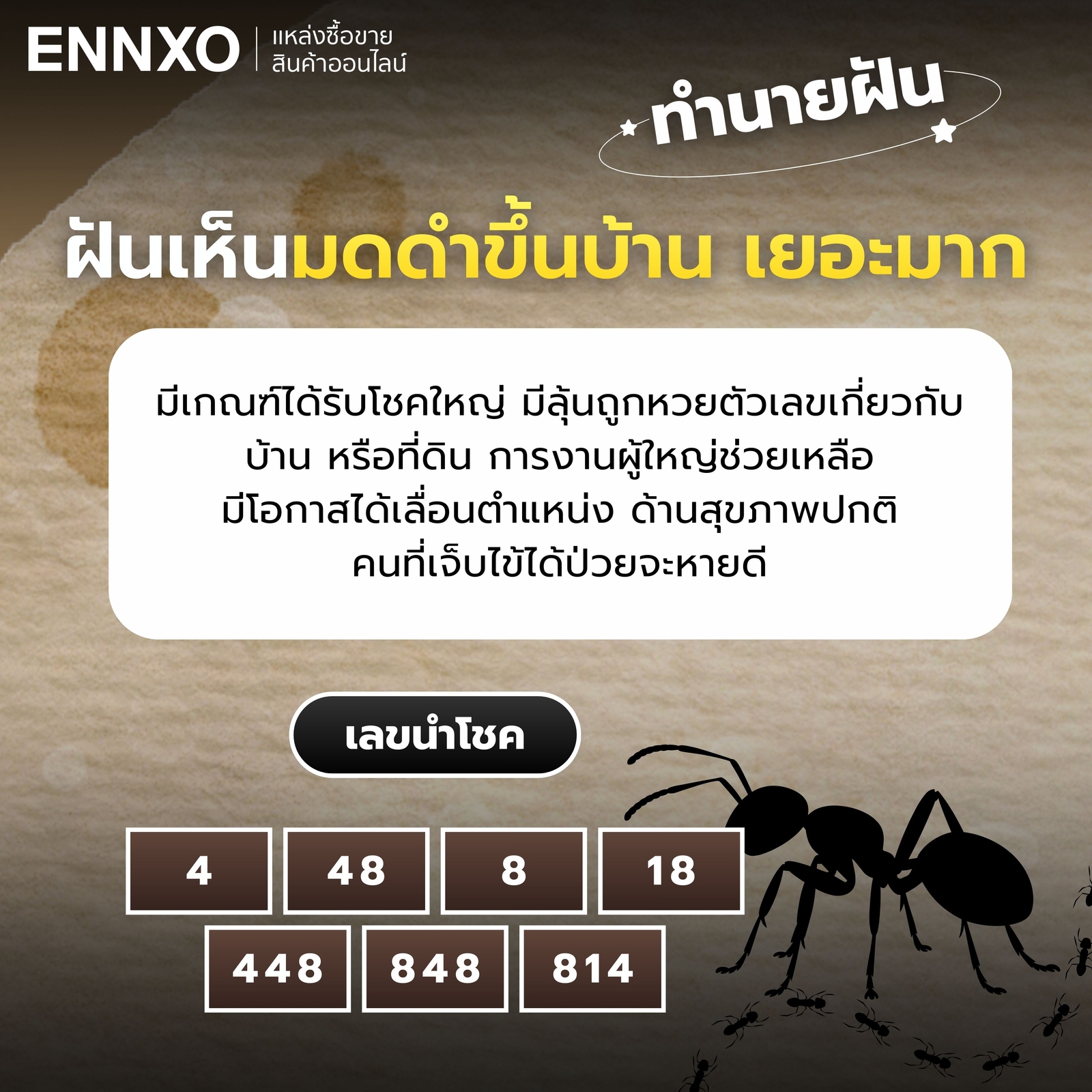 ฝันเห็นมดดําขึ้นบ้าน-เยอะมาก-เลขเด็ด