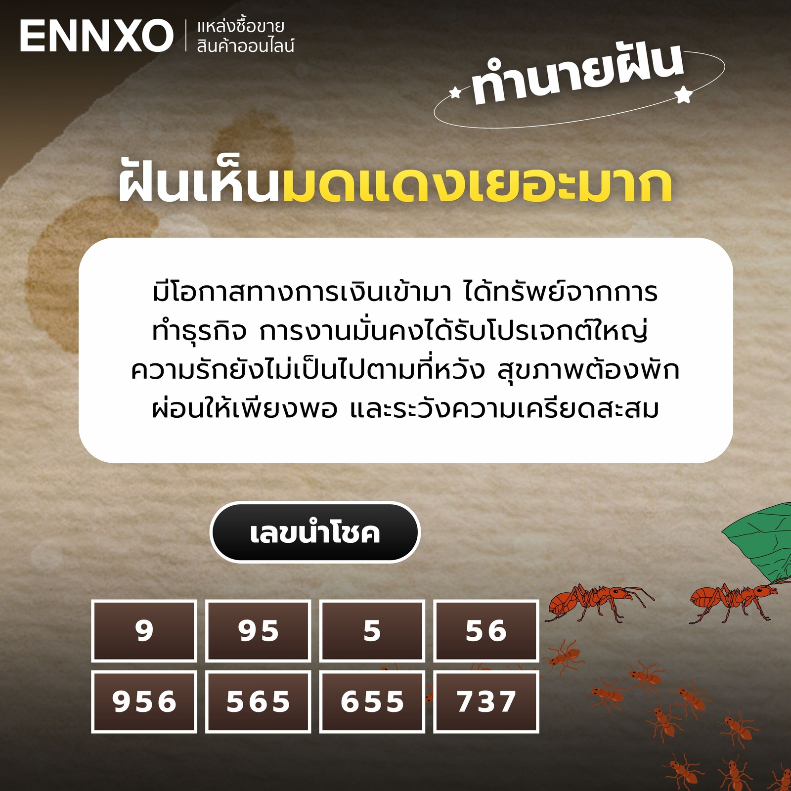 ฝันเห็นมดแดงเยอะมาก-เลขเด็ด