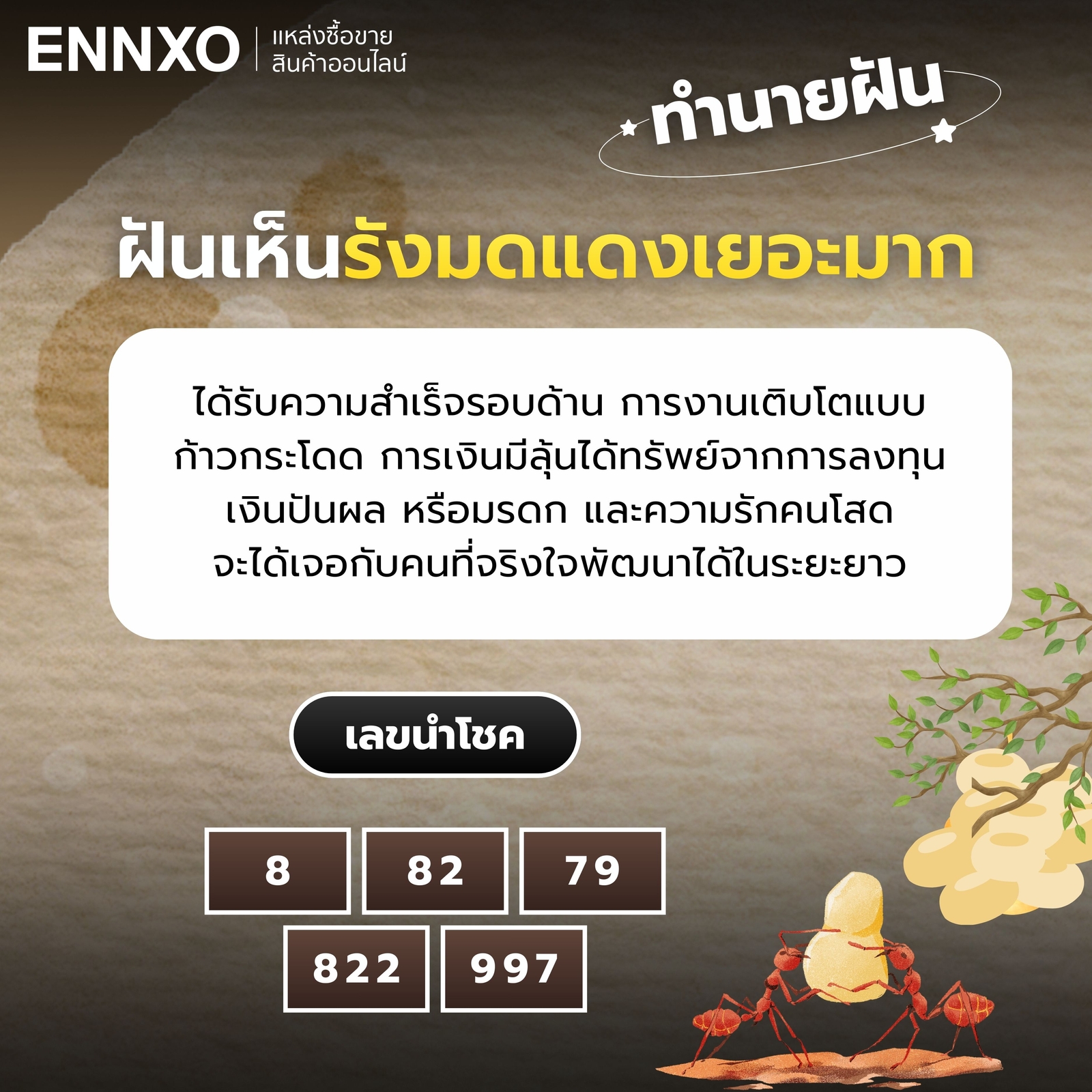 ฝันเห็นรังมดแดงเยอะมาก-เลขเด็ด