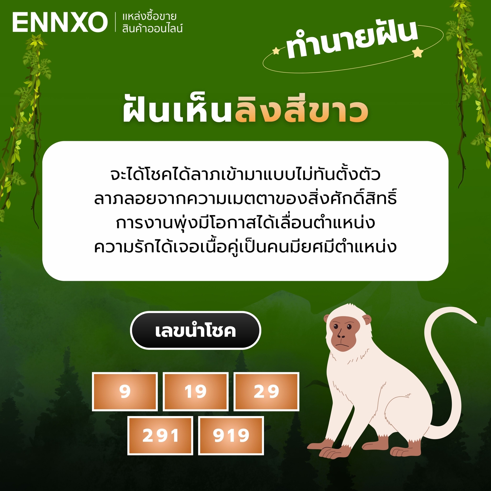 ฝันเห็นลิงสีขาว-เลขเด็ด