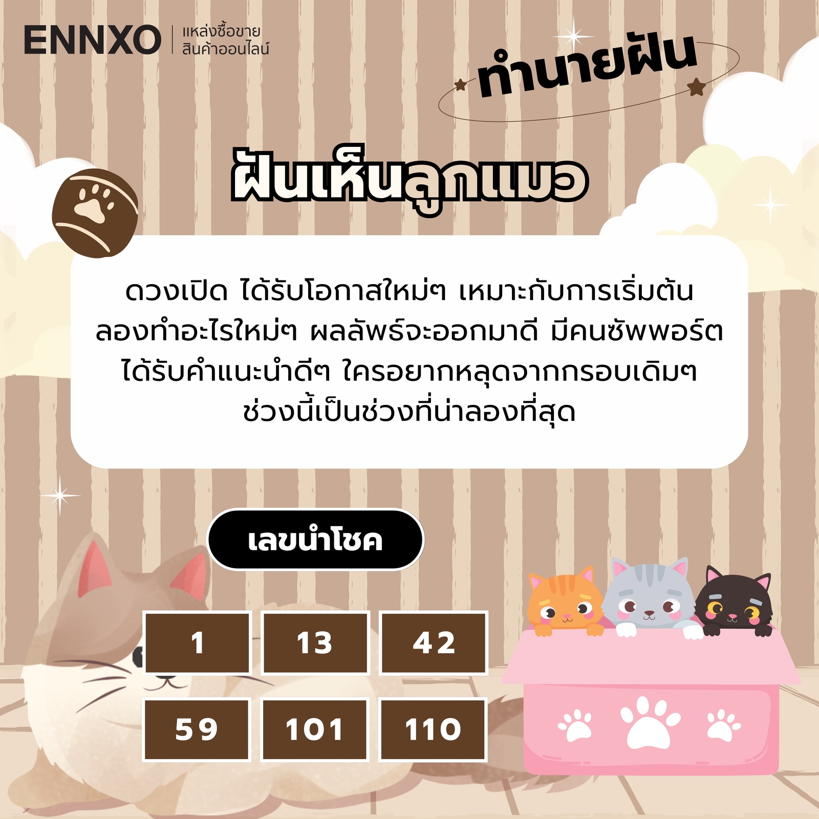 ฝันเห็นลูกแมว ความหมายและเลขเด็ด