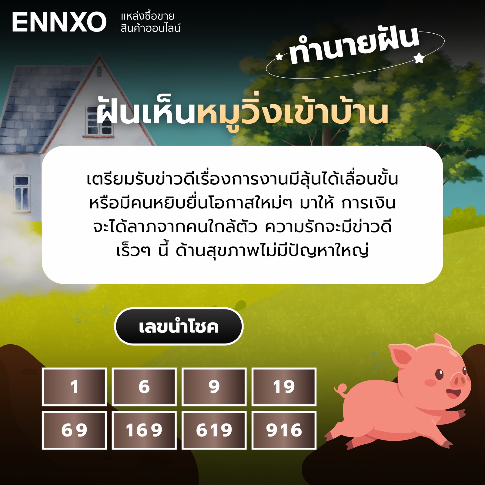 ฝันเห็นหมูวิ่งเข้าบ้าน เลขเด็ด