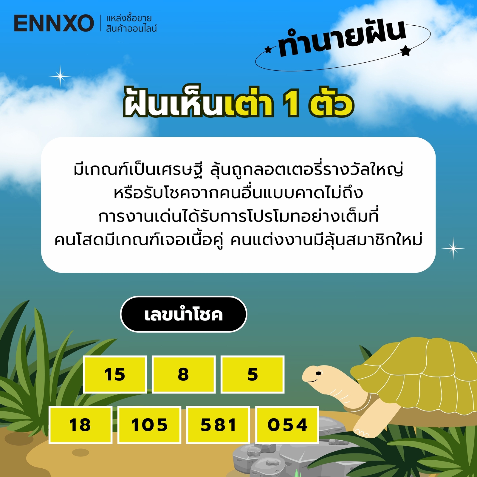 ฝันเห็นเต่า-1-ตัว-เลขเด็ด