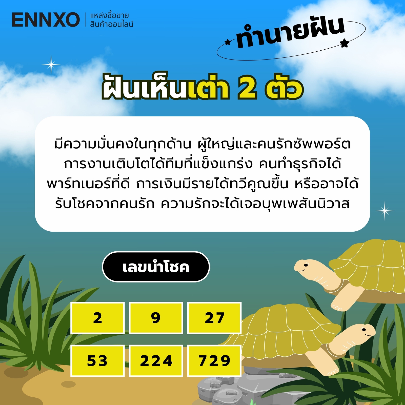 ฝันเห็นเต่า-2-ตัว-เลขเด็ด