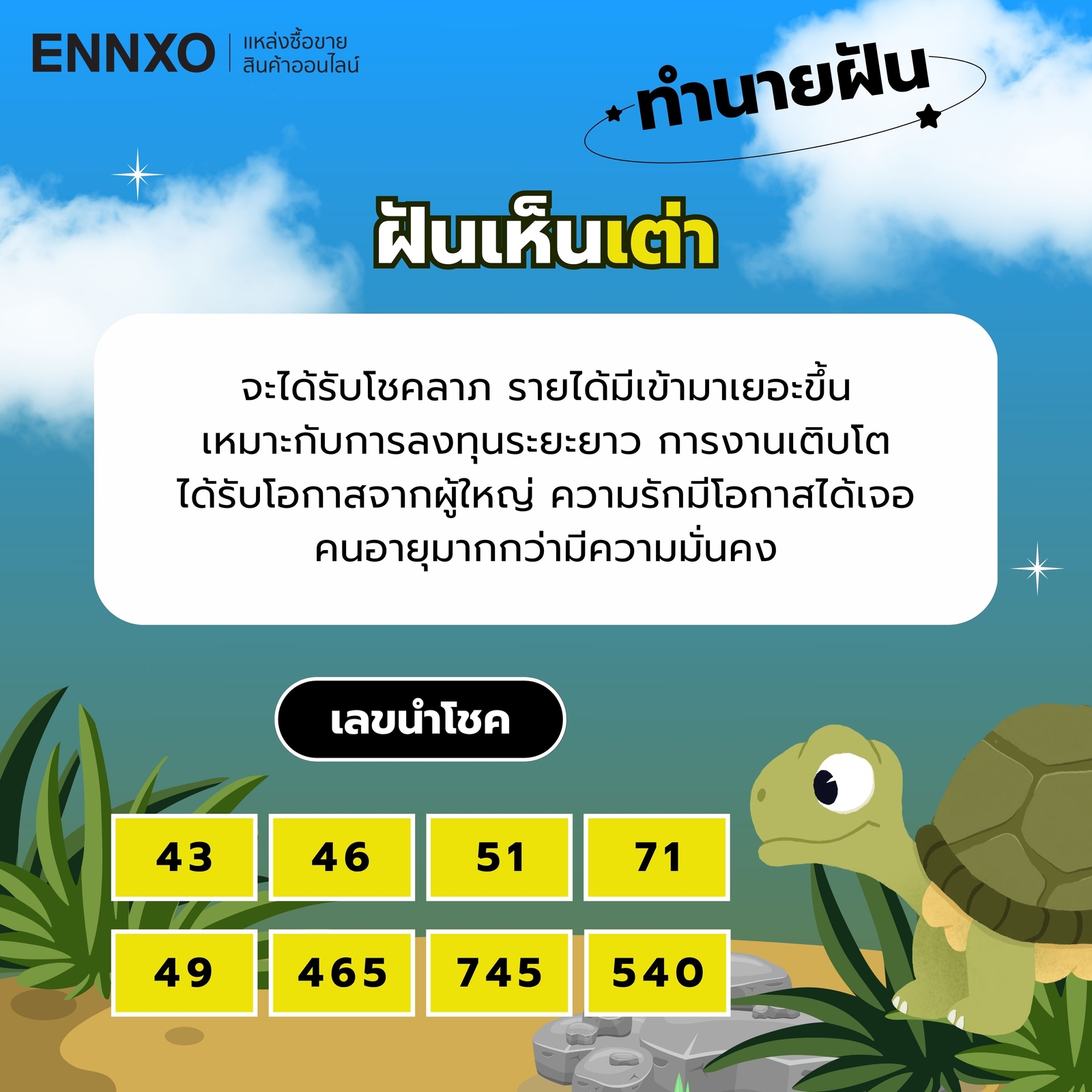 ฝันเห็นเต่า-ตีเป็นเลขอะไร
