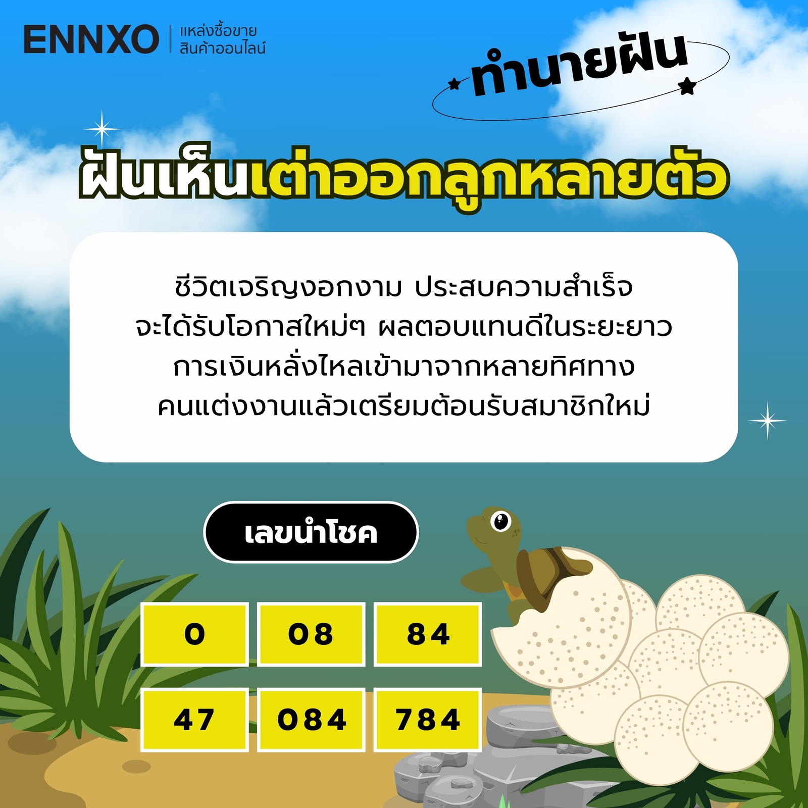 ฝันเห็นเต่า-ออกลูก-เป็นตัว-เลขเด็ด