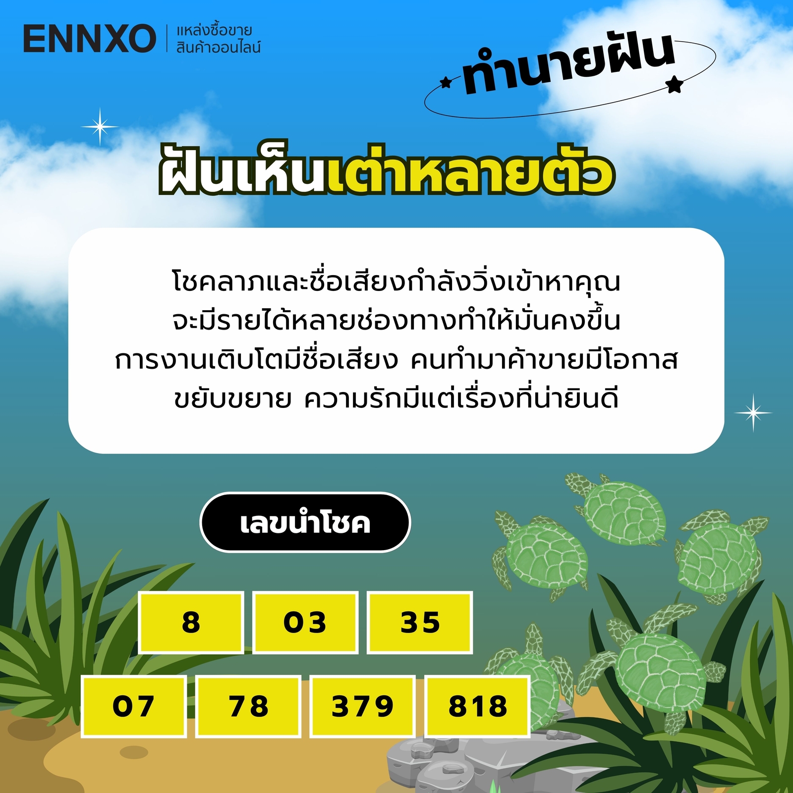 ฝันเห็นเต่าตัวใหญ่-หลายตัว-เลขเด็ด