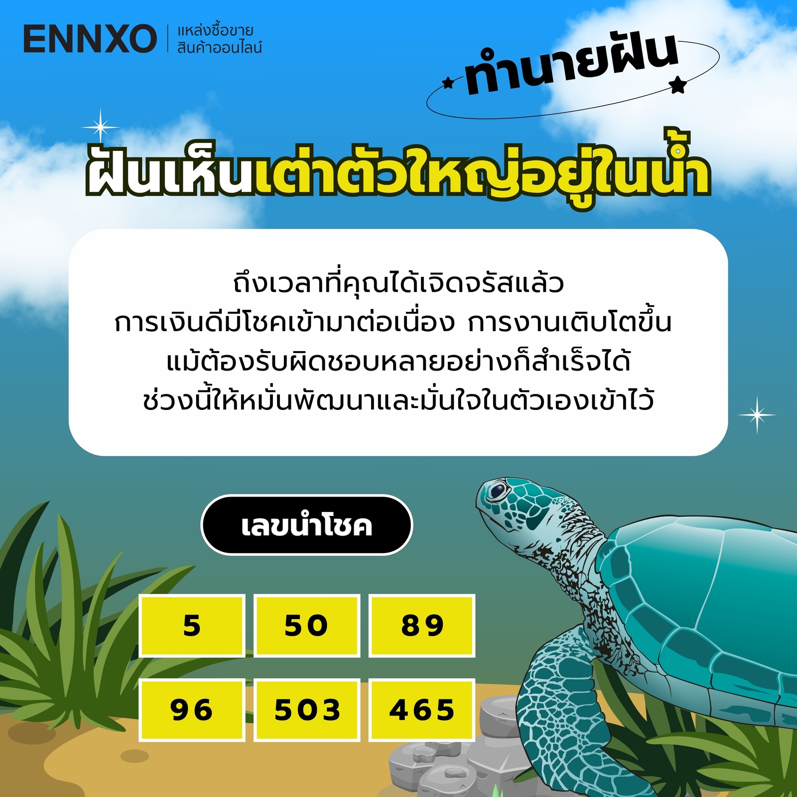 ฝันเห็นเต่าตัวใหญ่-อยู่ในน้ํา-เลขเด็ด