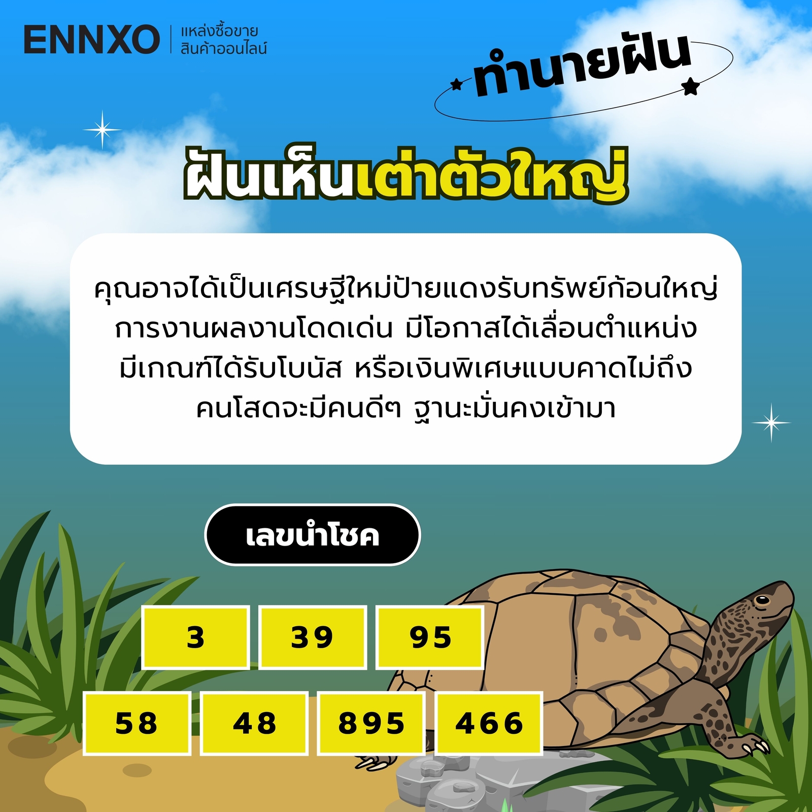 ฝันเห็นเต่าตัวใหญ่-เลขเด็ด