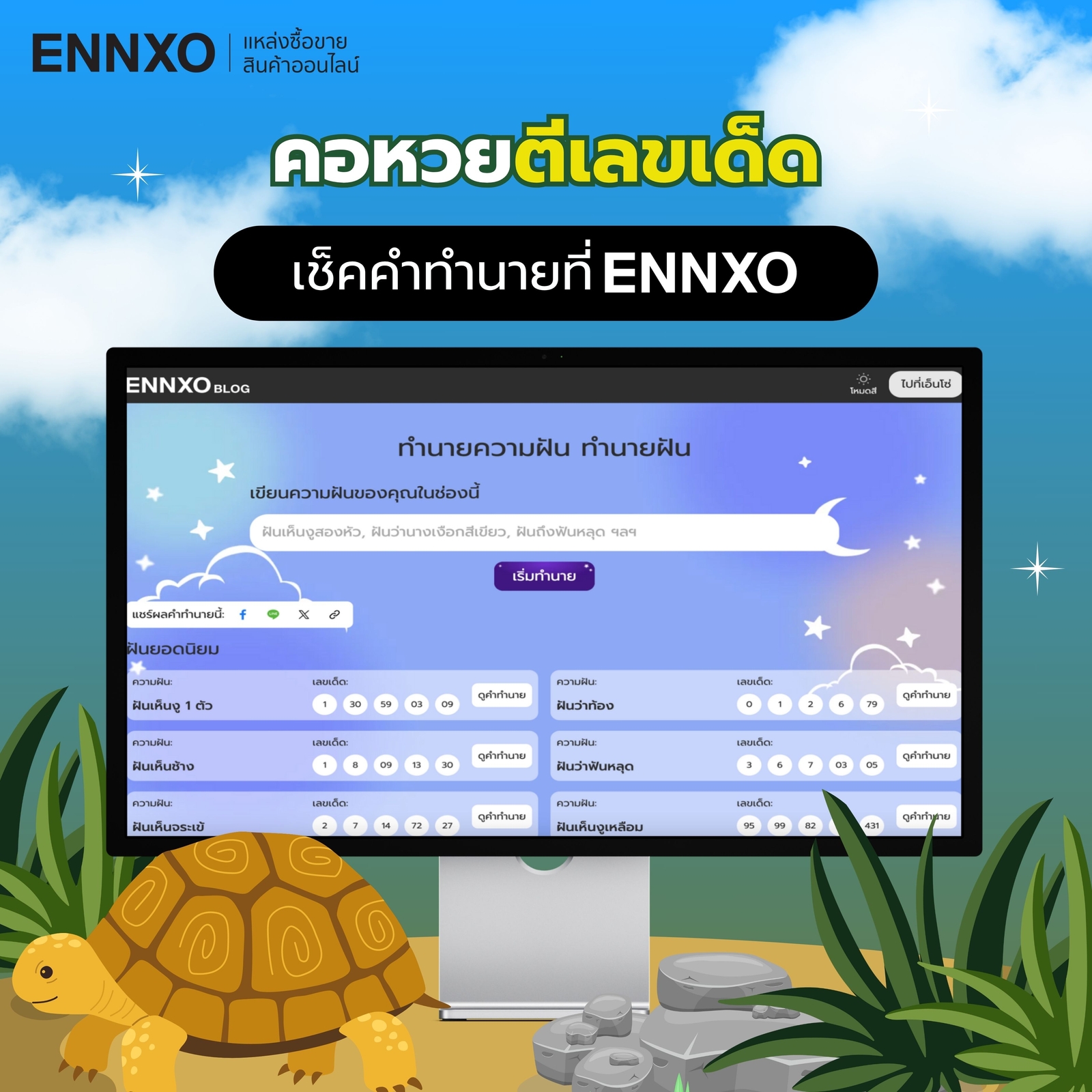 ฝันเห็นเต่าหมายความว่ายังไง-เจอเต่าดีไหม
