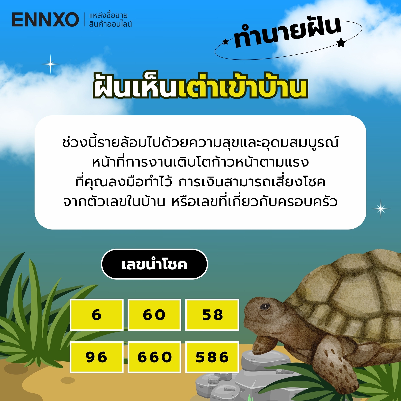 ฝันเห็นเต่าเข้าบ้าน-เลขเด็ด