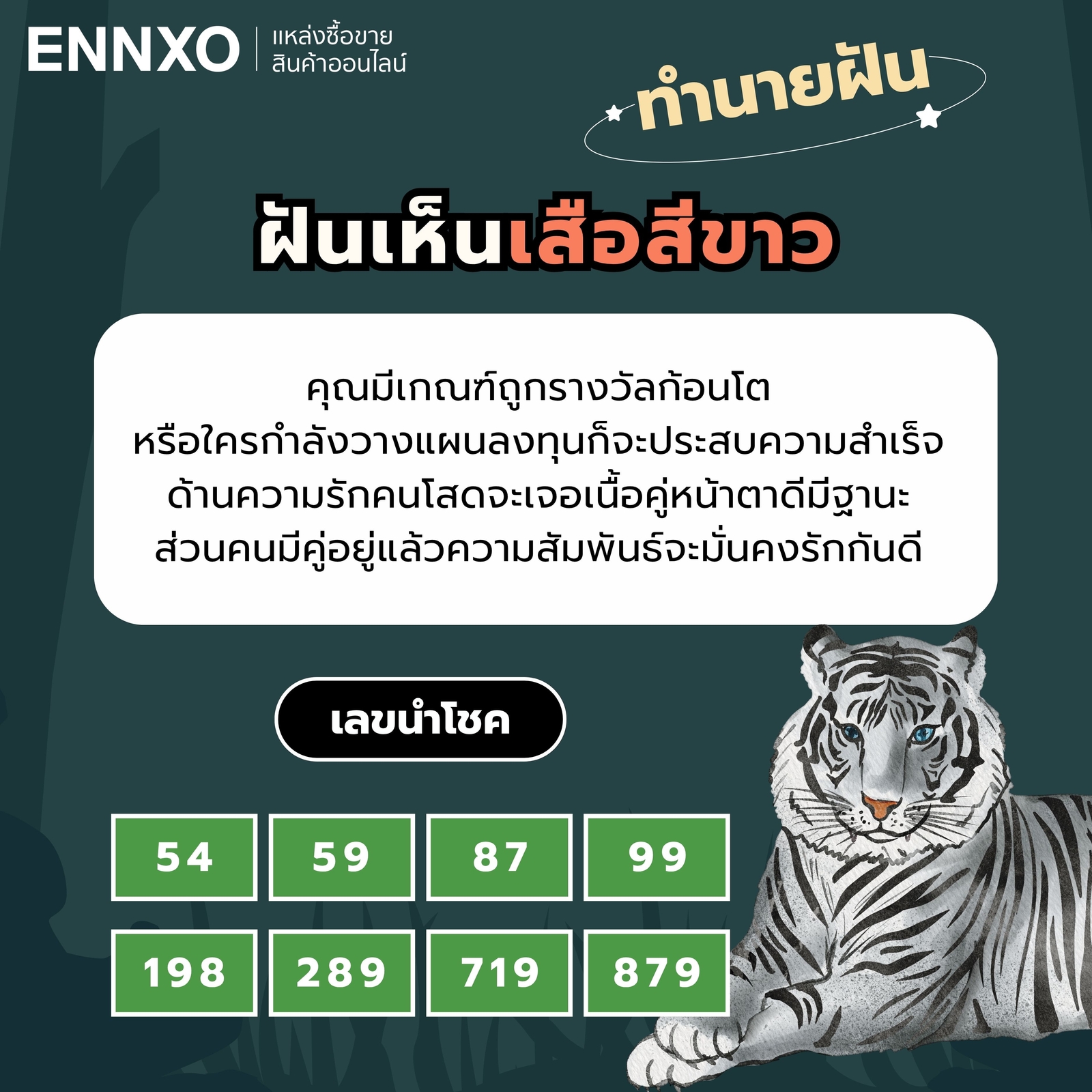 ฝันเห็นเสือสีขาว ทำนายฝัน เลขเด็ด