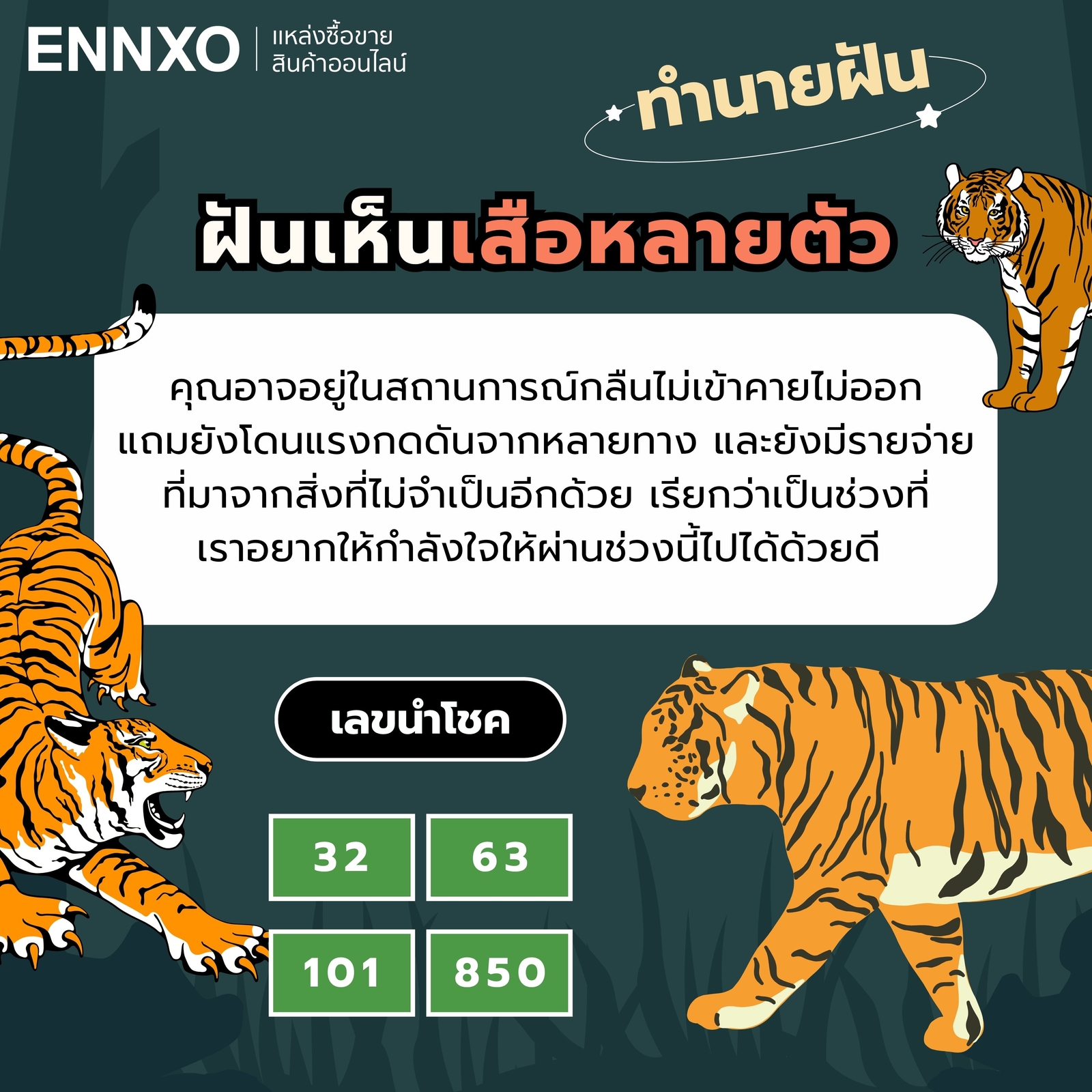 ฝันเห็นเสือหลายตัว ทำนายฝัน เลขเด็ด