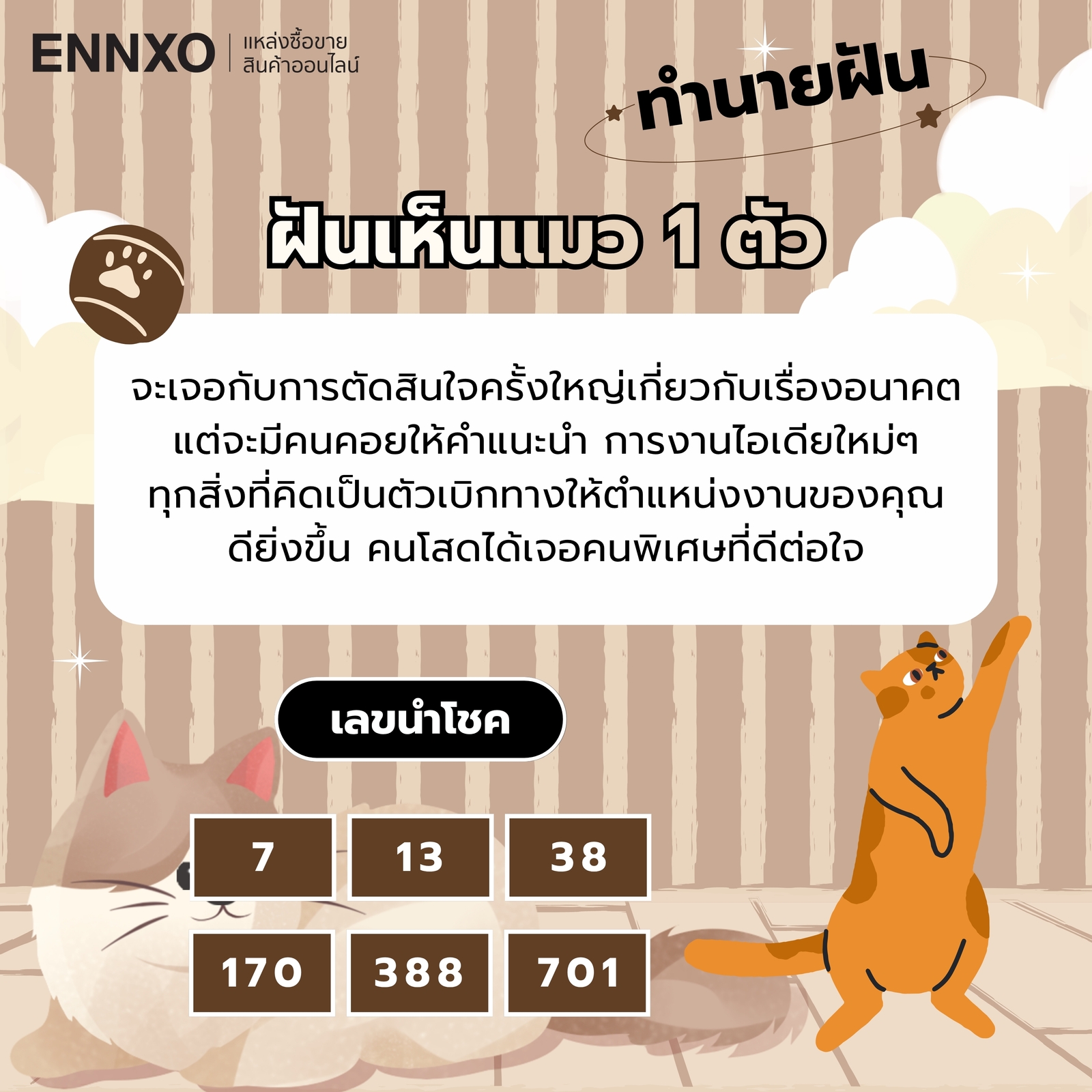 ฝันเห็นแมว 1 ตัว ความหมายและเลขเด็ด
