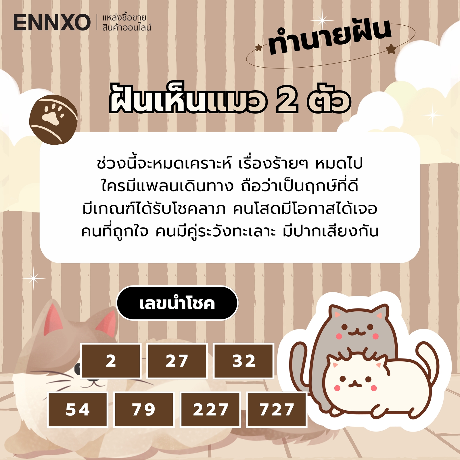 ฝันเห็นแมว 2 ตัว ความหมายและเลขเด็ด