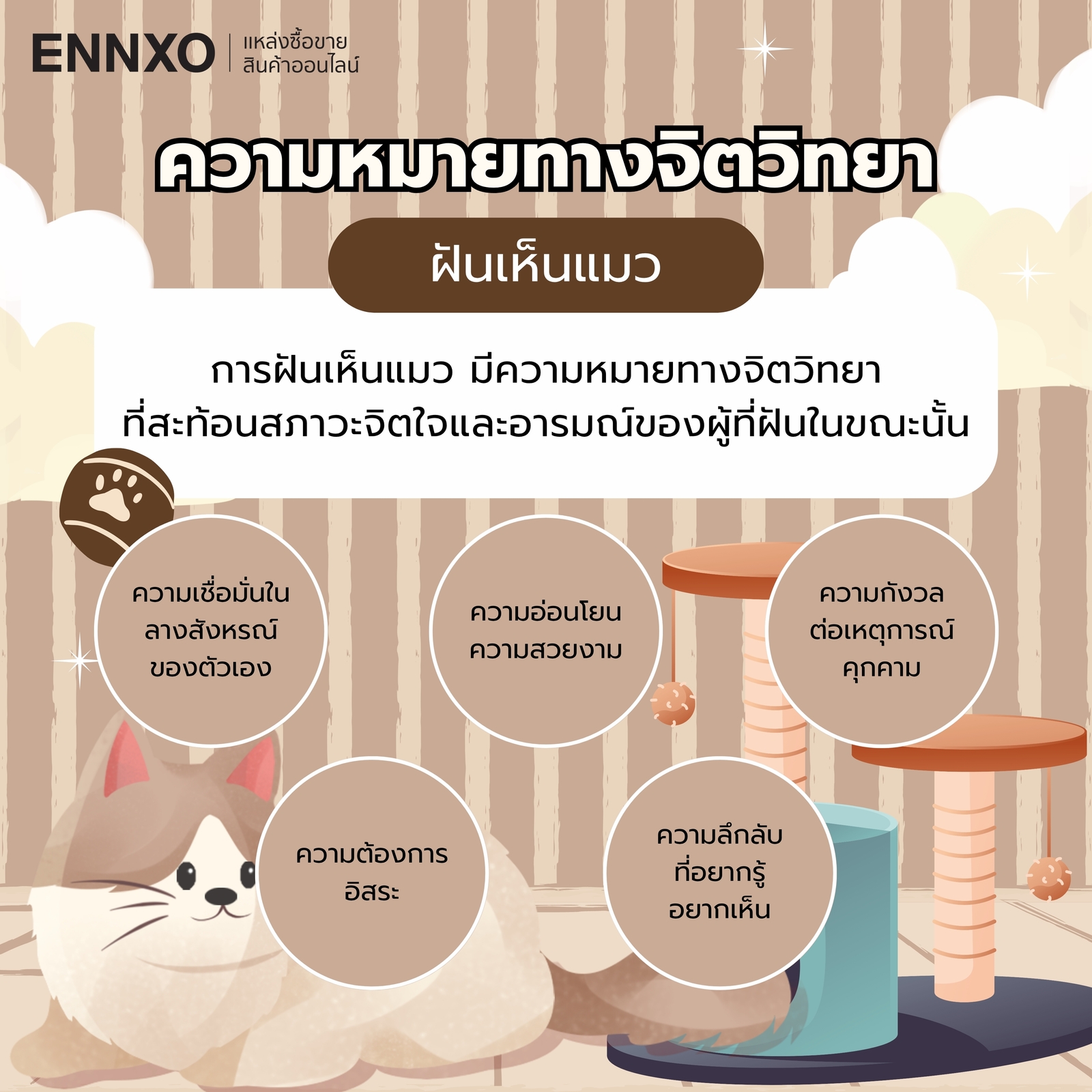 ความหมายทางจิตวิทยาเกี่ยวกับฝันเห็นแมว