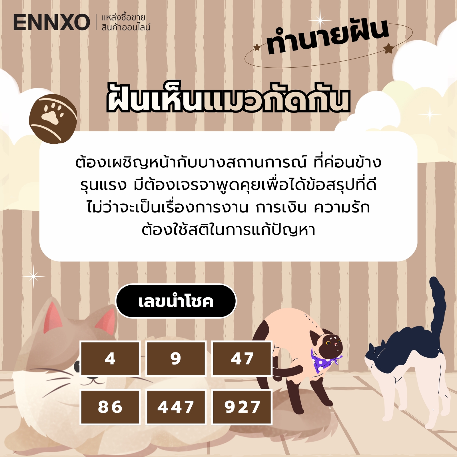 ฝันเห็นแมวกัดกัน ความหมายและเลขเด็ด