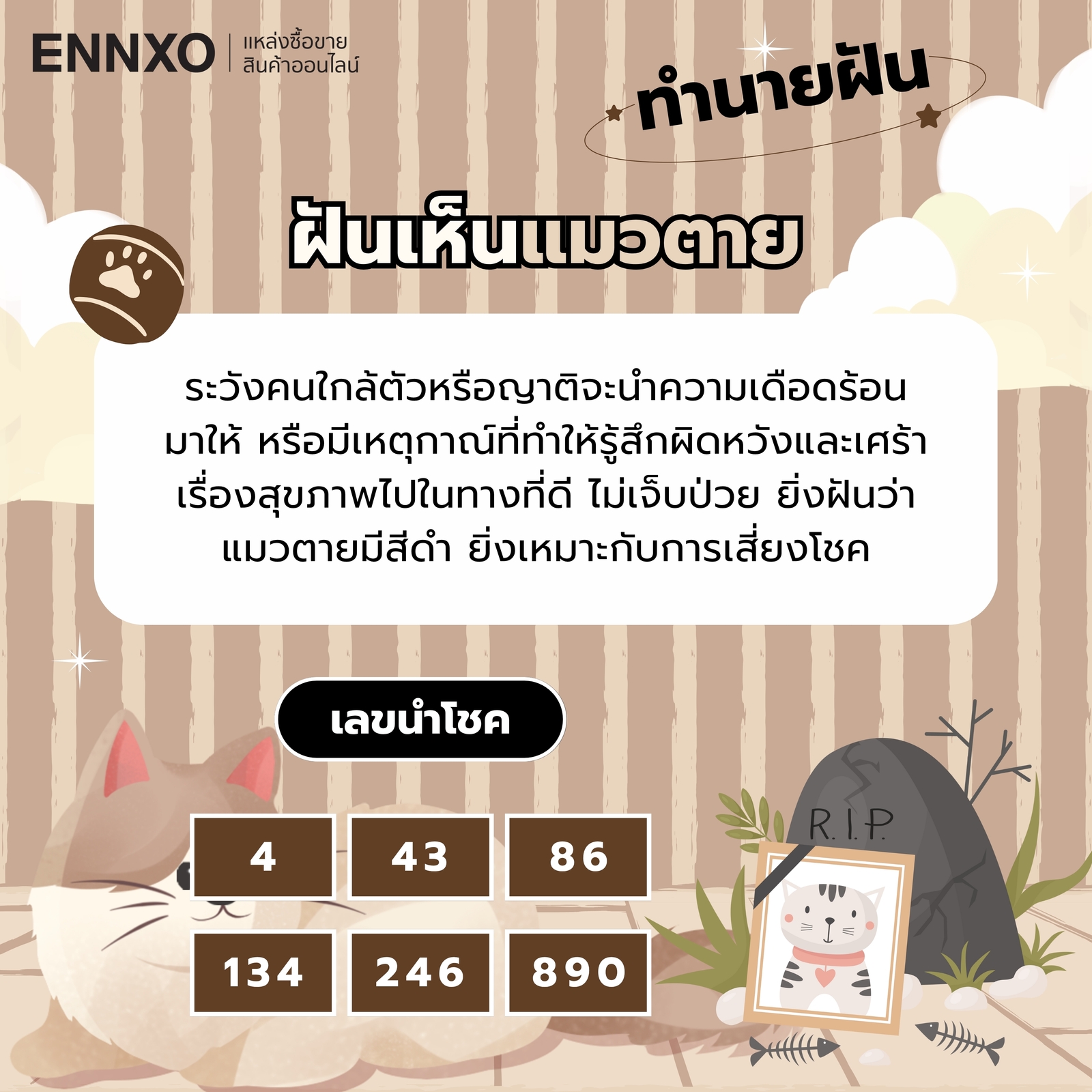 ฝันเห็นแมวตาย ความหมายและเลขเด็ด