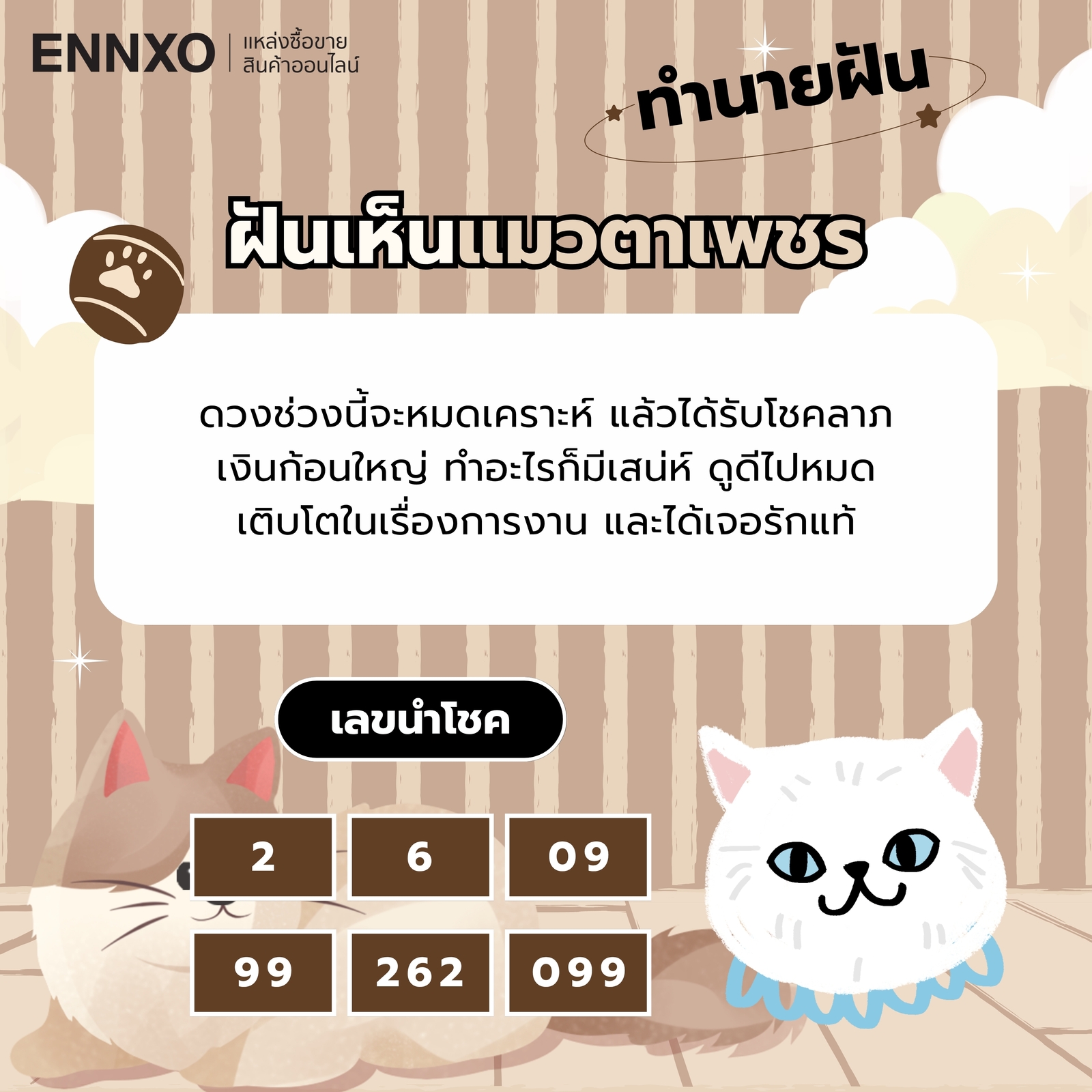ฝันเห็นแมวตาเพชร ความหมายและเลขเด็ด