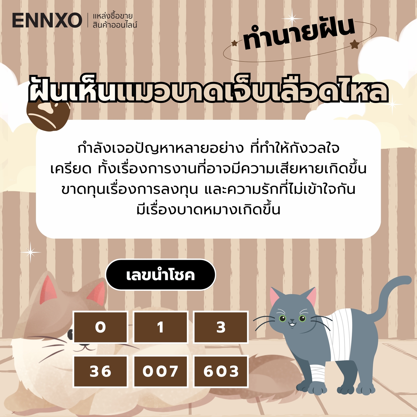 ฝันเห็นแมวบาดเจ็บเลือดไหล ความหมายและเลขเด็ด