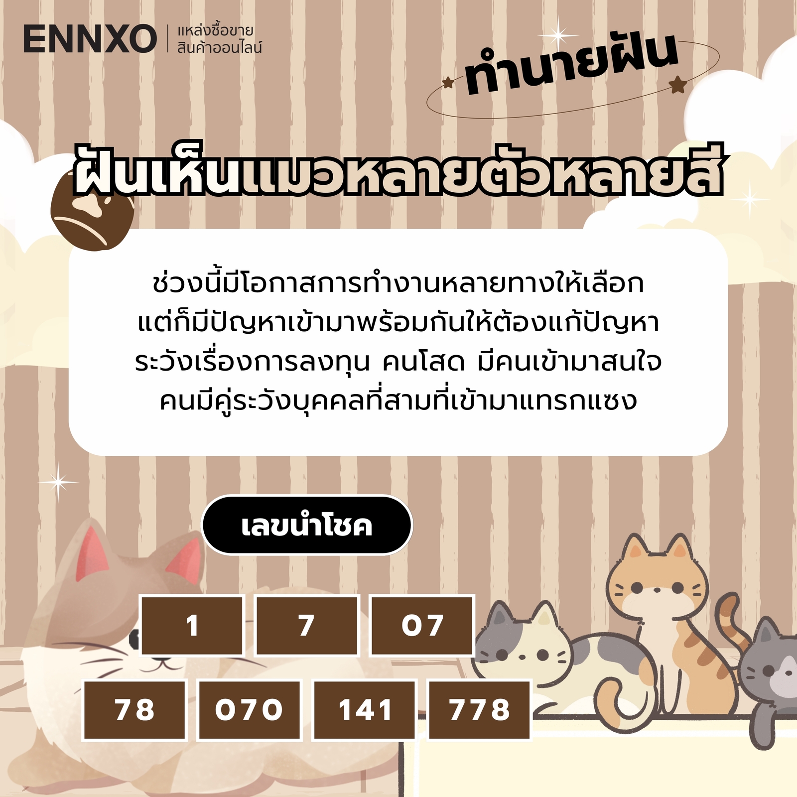 ฝันเห็นแมวหลายตัวหลายสี ความหมายและเลขเด็ด