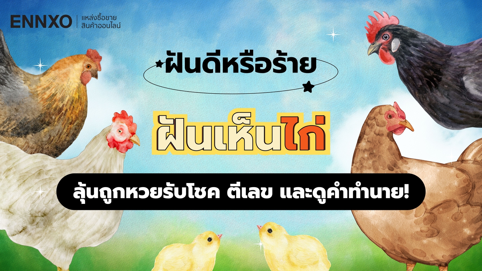 ฝันเห็นไก่ แปลความหมาย ตีเลขเด็ดไก่ตัวใหญ่ ถูกรางวัลที่ 1 ไหม?