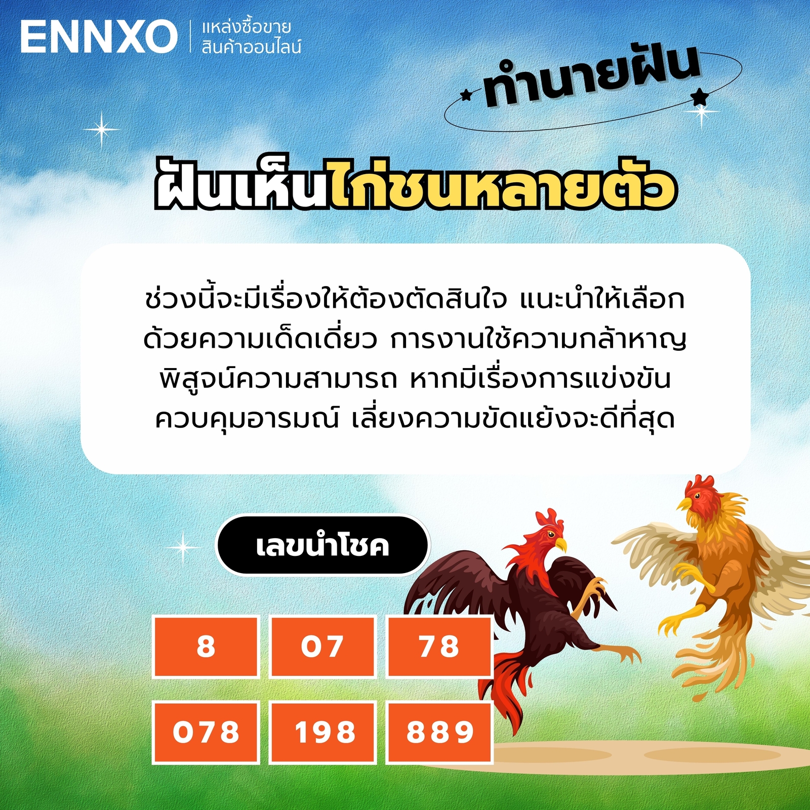 ฝันเห็นไก่ชนหลายตัว-เลขเด็ด