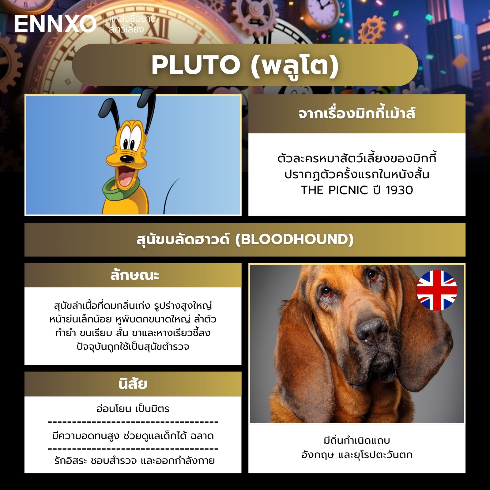 พลูโต การ์ตูนเรื่องอะไร