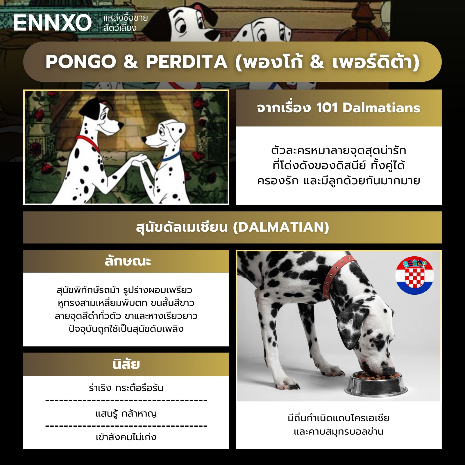 การ์ตูนสุนัขดิสนีย์ 101 Dalmatians