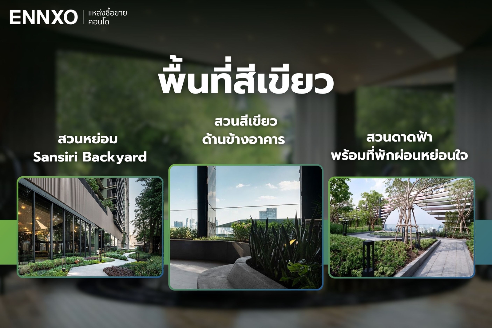 พื้นที่สีเขียว คอนโด The Line พหลโยธิน พาร์ค