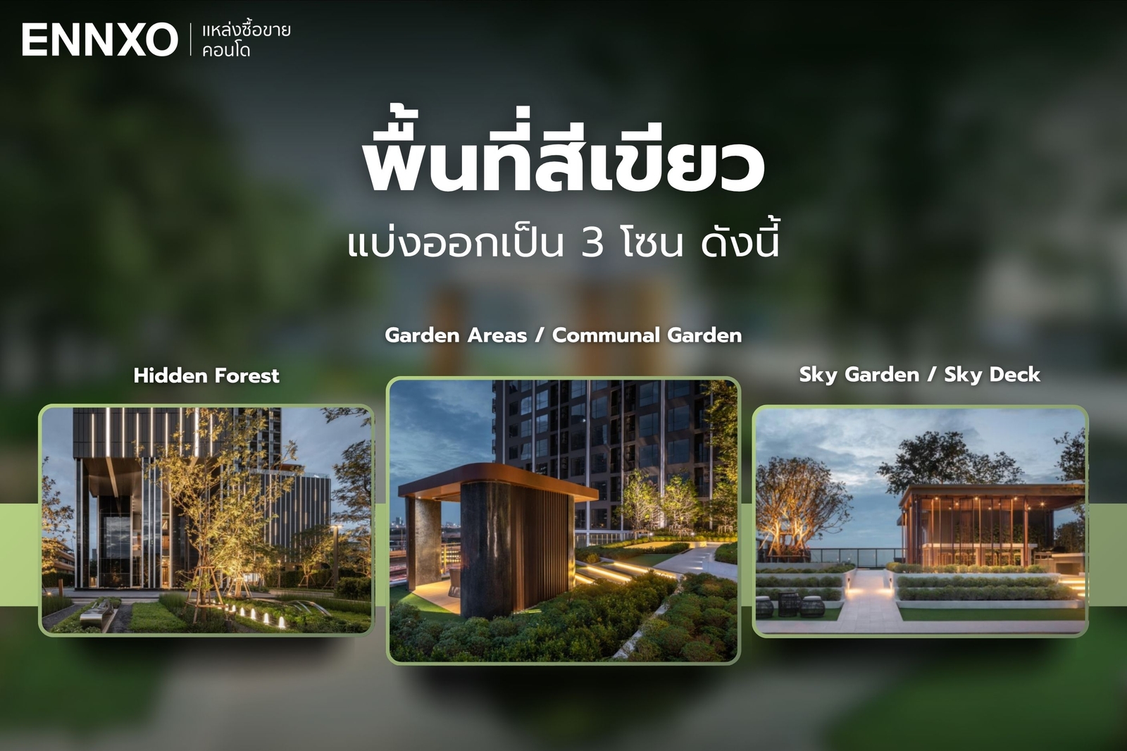 พื้นที่สีเขียวส่วนกลาง The Privacy จตุจักร