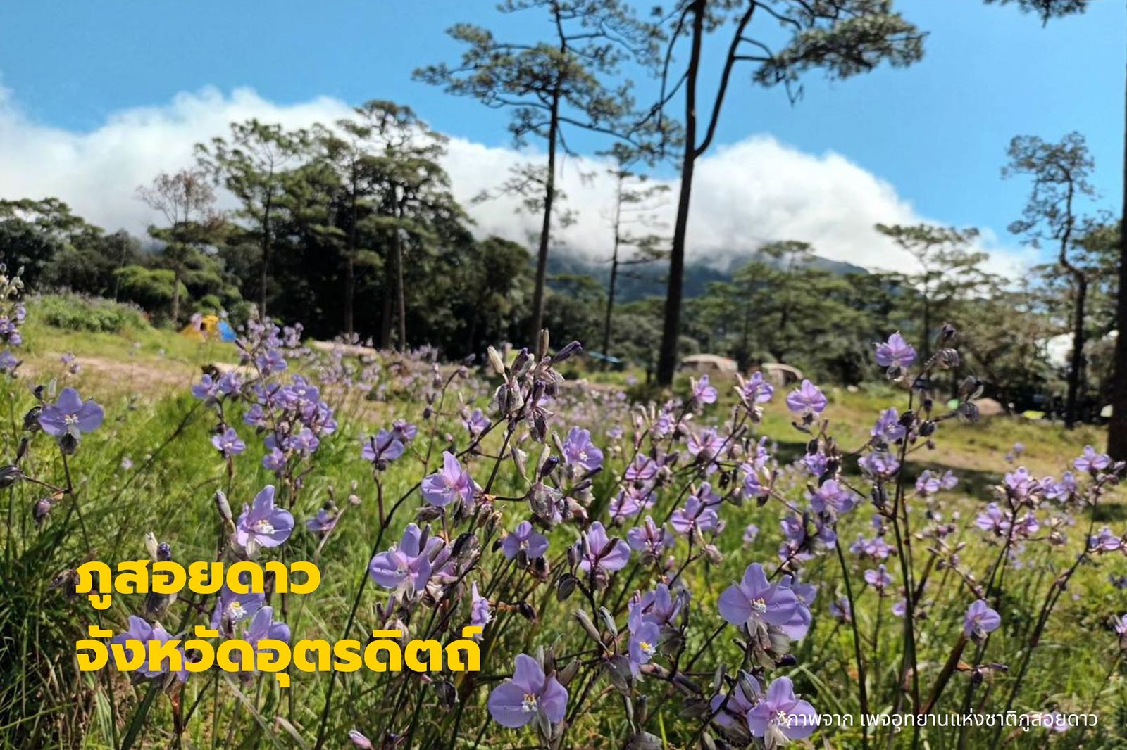 สถานที่เดินป่าหน้าฝน ภูสอยดาว จังหวัดอุตรดิตถ์