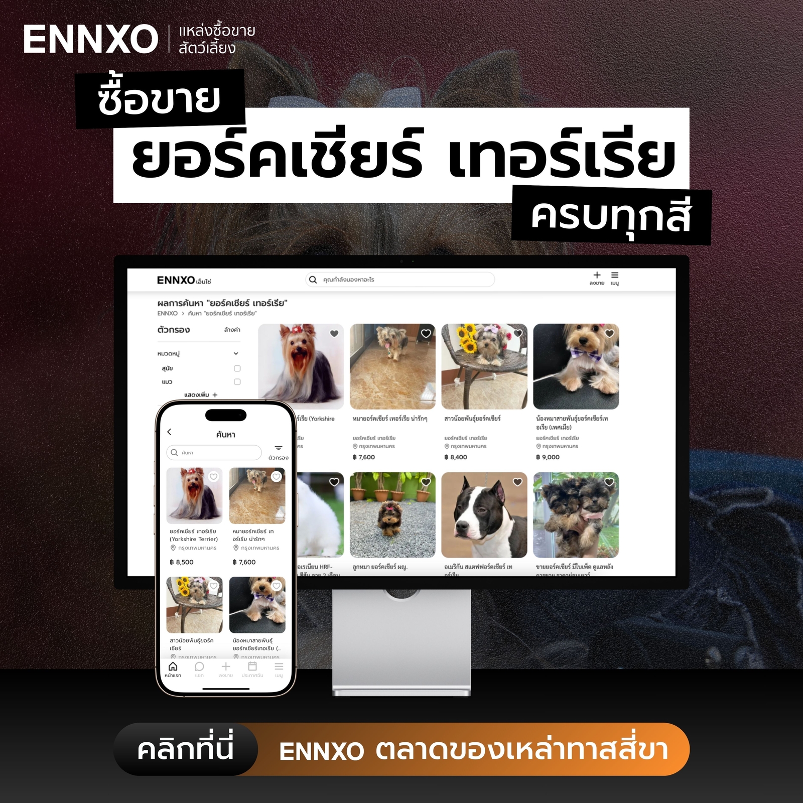 ยอร์คเชียร์ ราคาเท่าไหร่ที่ ENNXO