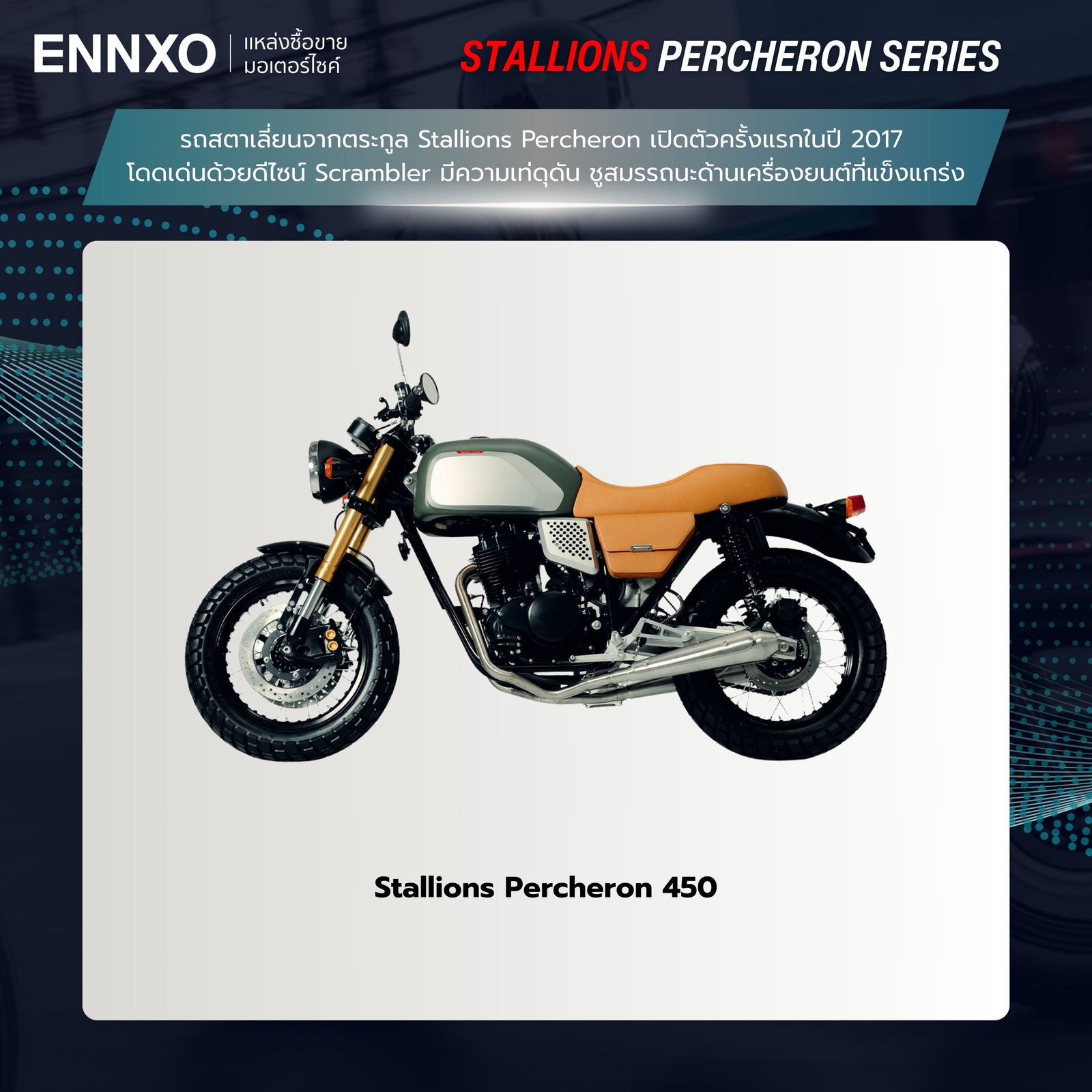 รถ-stallion-percheron-รถประเทศไทย