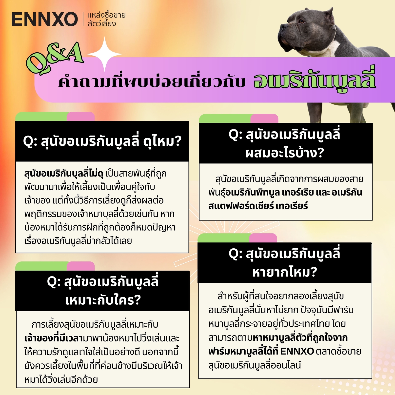 รวมคำถามการเลี้ยงหมาบูลลี่