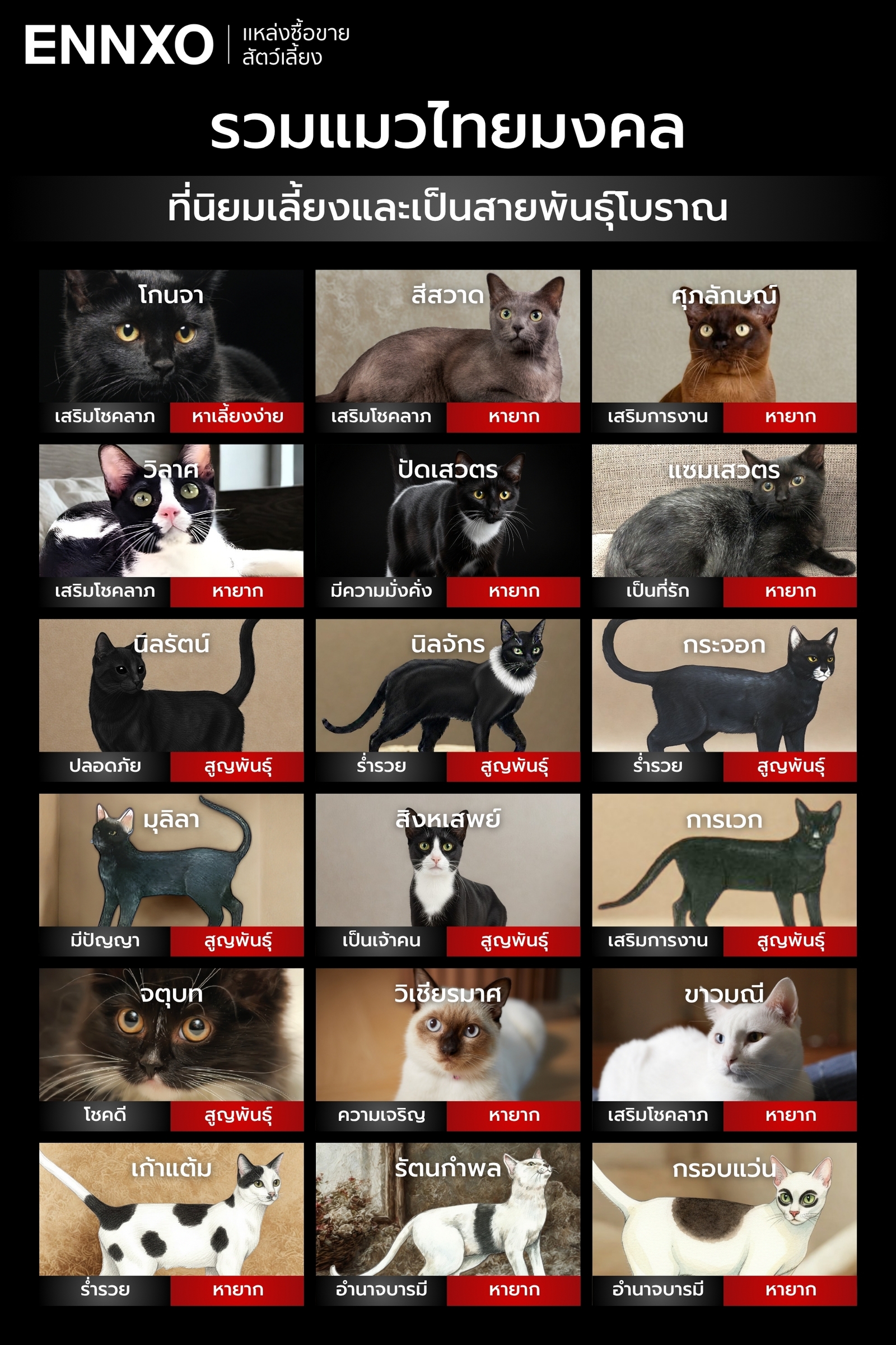 สายพันธุ์แมวไทยที่บันทึกไว้ในสมุดข่อย