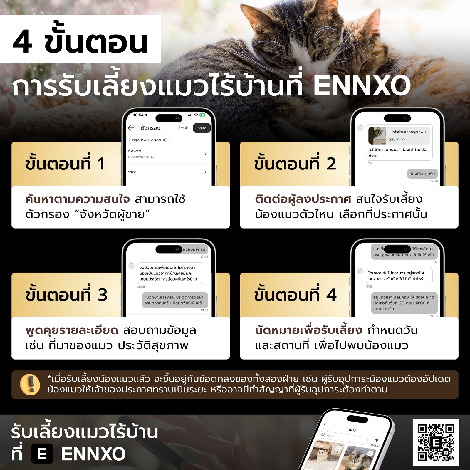 ขั้นตอนการรับเลี้ยงแมวไร้บ้าน แมวจรจัด