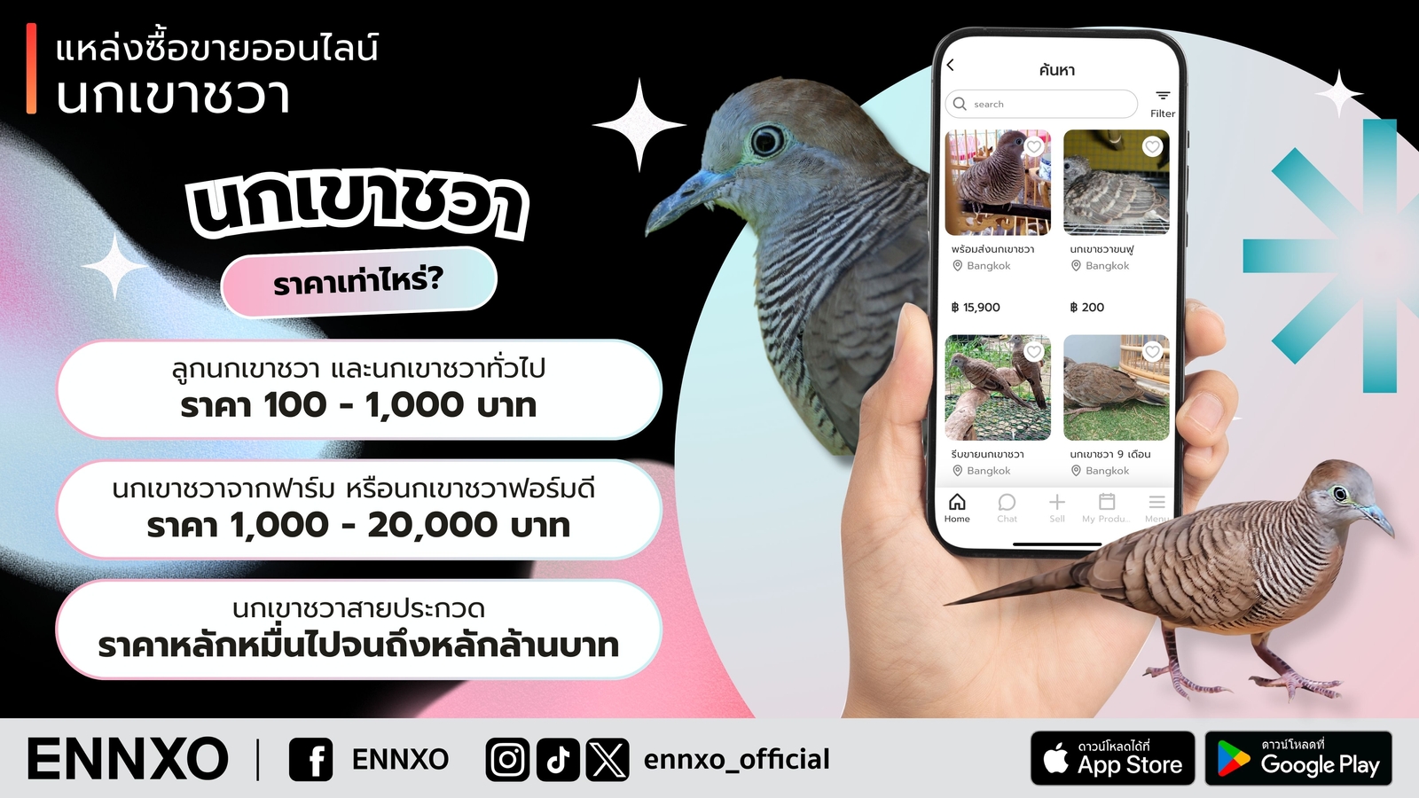ราคา นกเขาชวาเท่าไหร่