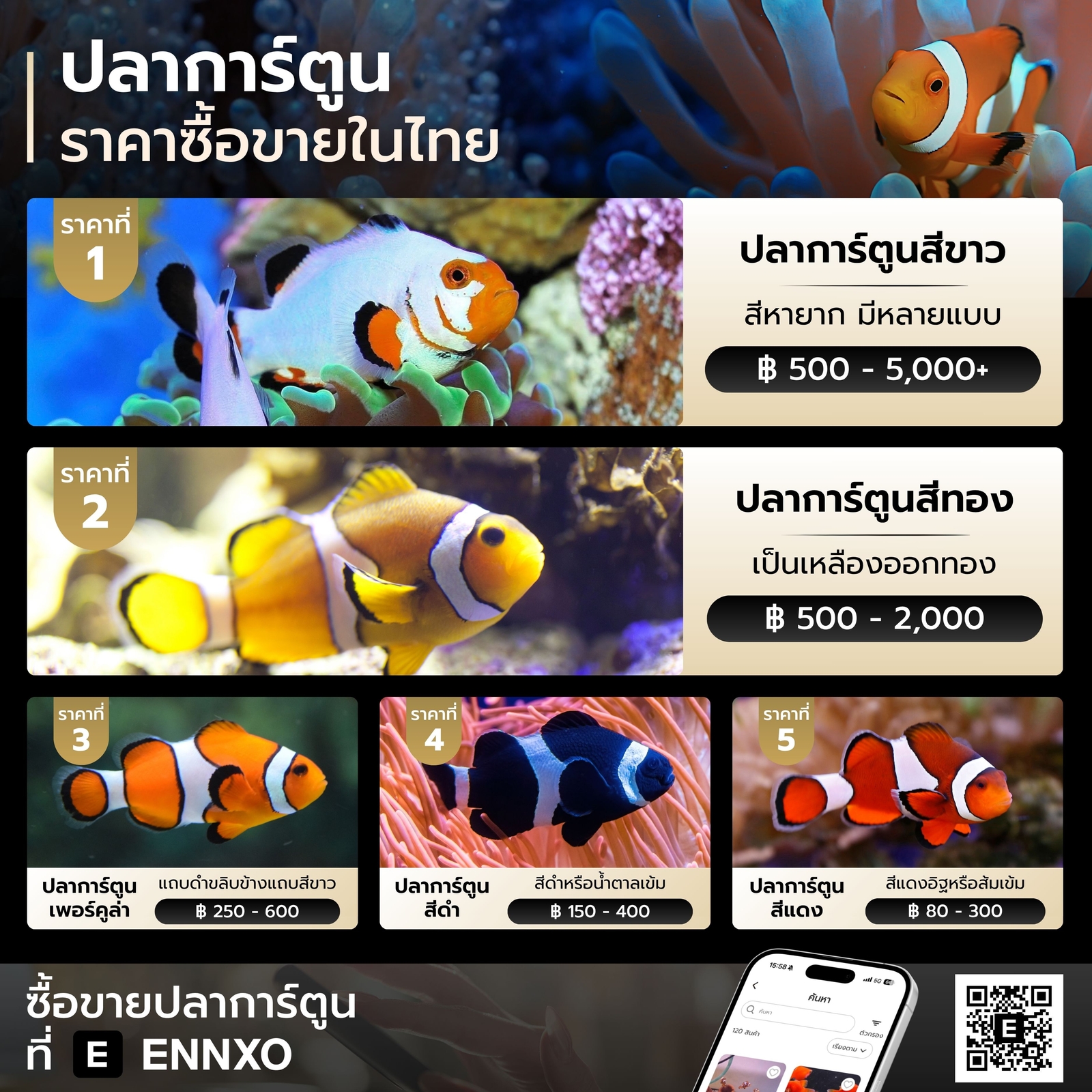 ราคาปลาการ์ตูน ปลานีโม่ ในไทย