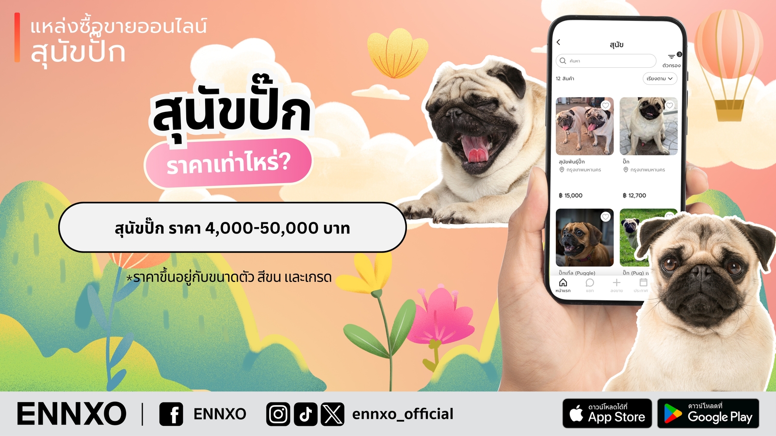 ENNXO ตลาดซื้อขายสุนัขออนไลน์