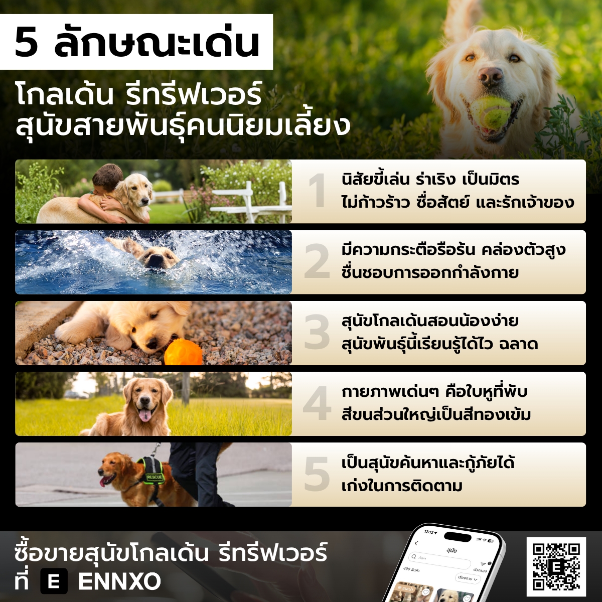 สุนัขโกลเด้น รีทรีฟเวอร์ มีลักษณะเด่นอย่างไร