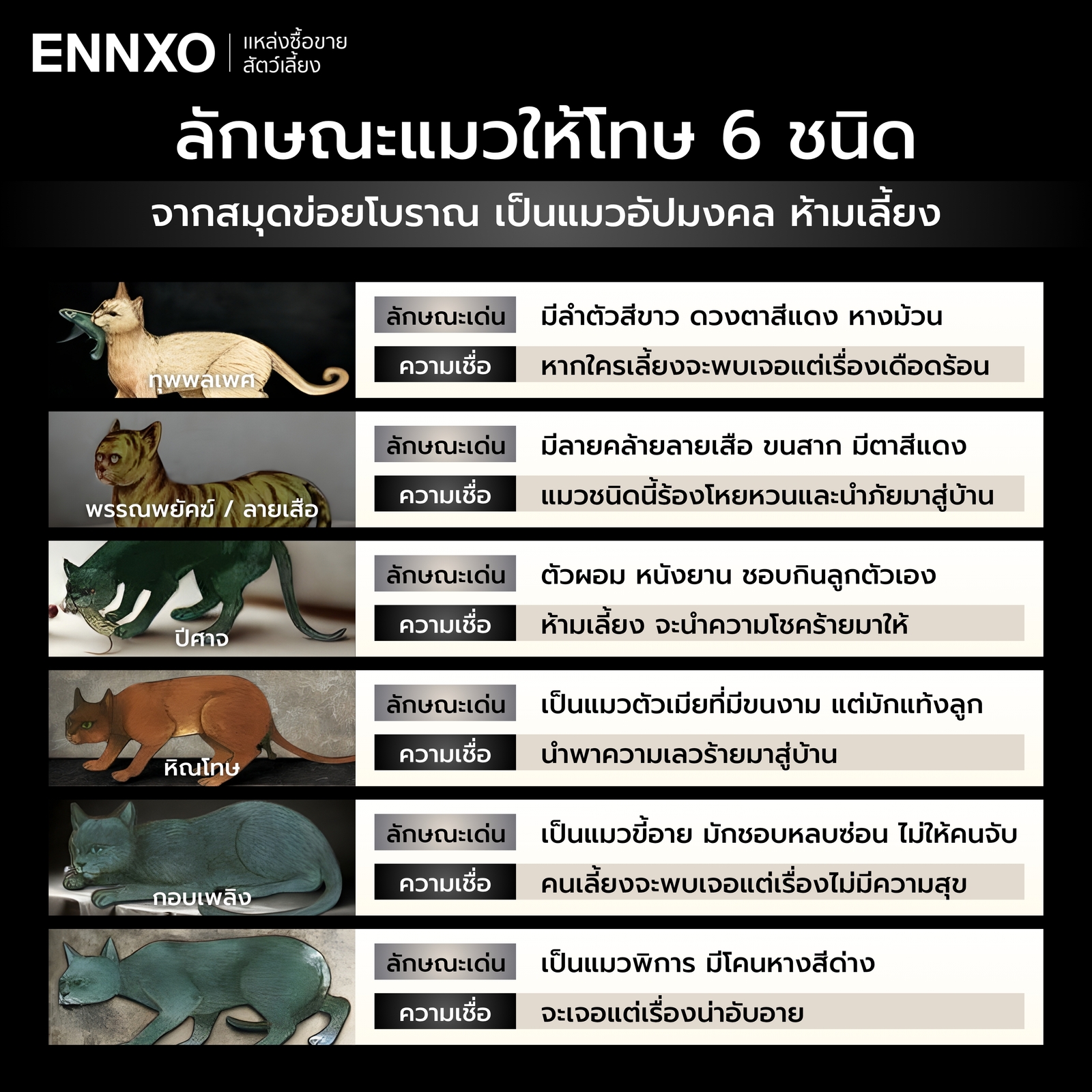 รวมลักษณะแมวให้โทษ 6 ชนิด