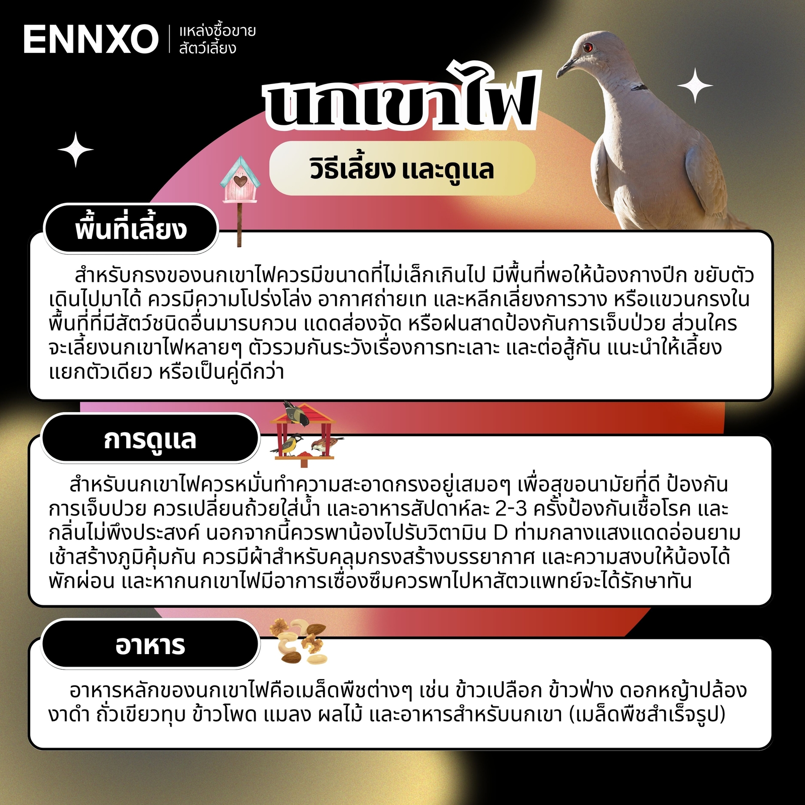 นกเขาไฟ เลี้ยงยากไหม