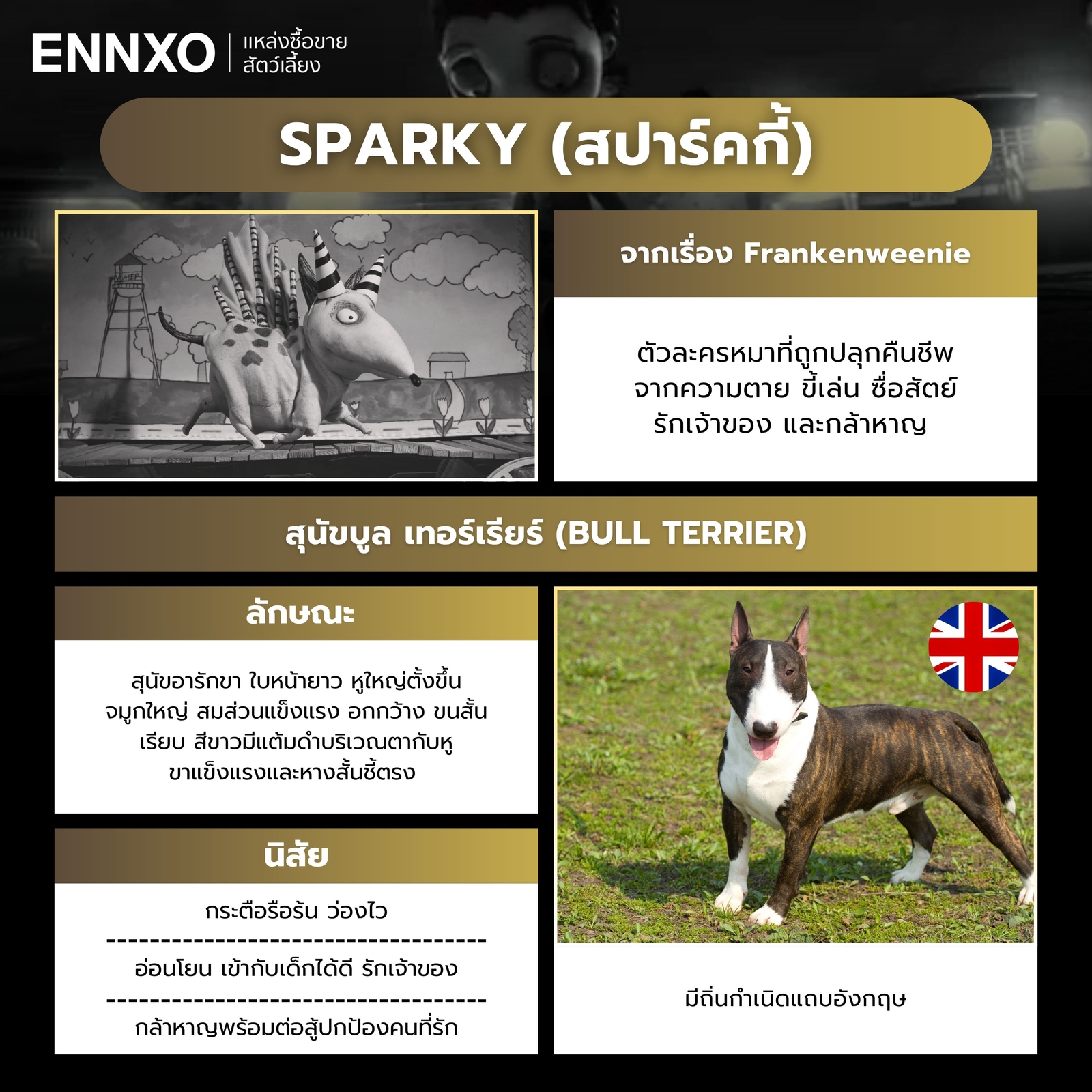 สปาร์คกี้ ตัวละครหมาดิสนีย์จาก Frankenweenie