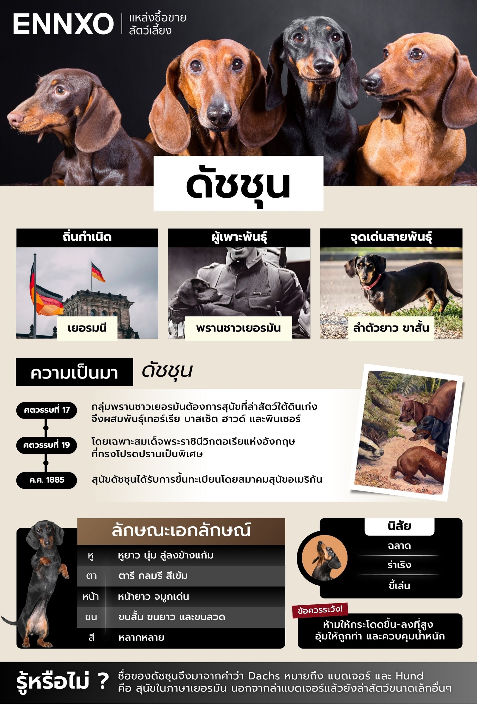 สรุปข้อมูลดัชชุน